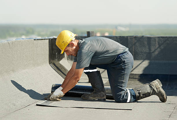 Best Insulation Repair Services  in Great Neck, NY