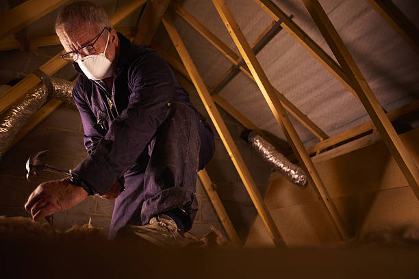 Best Insulation Replacement Services  in Great Neck, NY